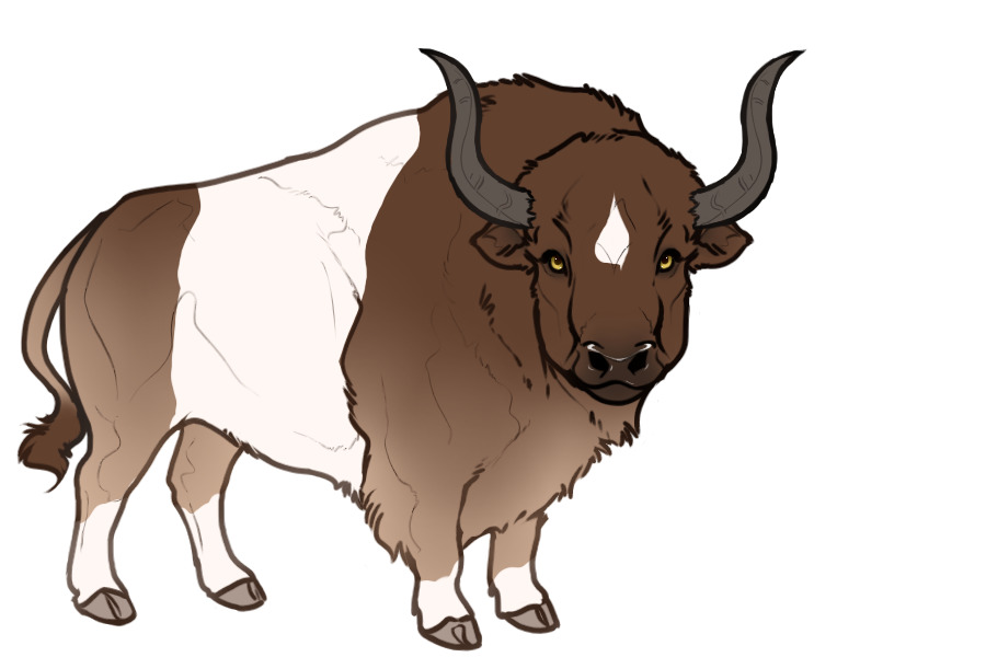 Beaumont Buffalo #041 | Adopted