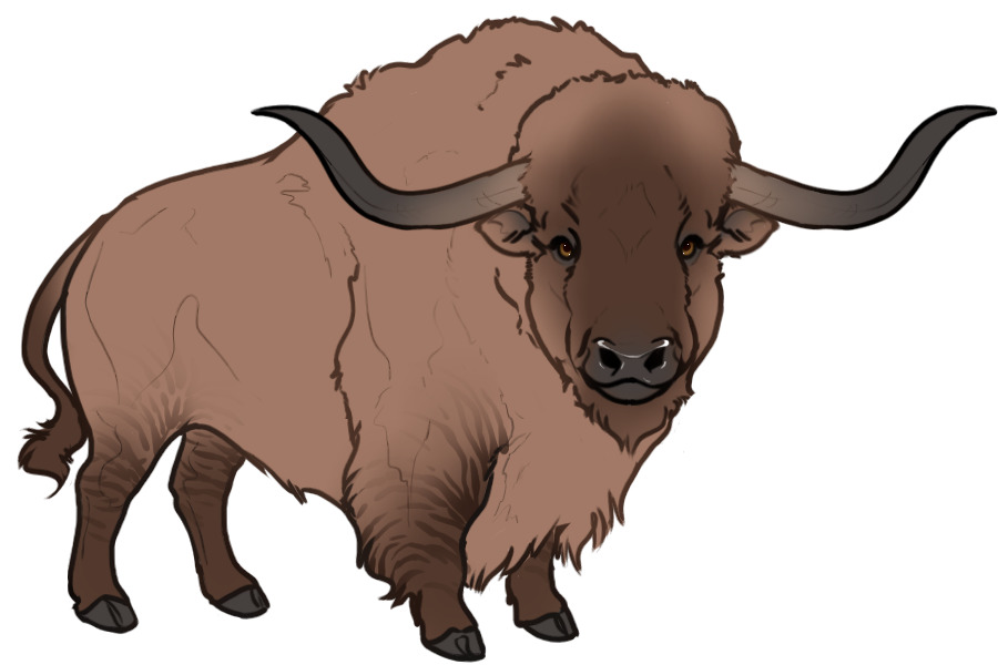 Beaumont Buffalo #044 | Adopted