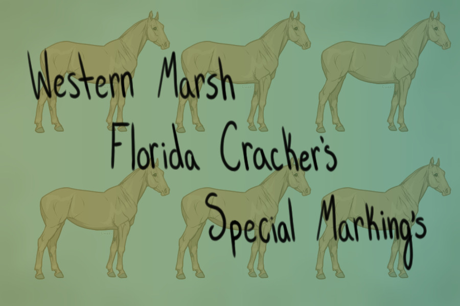 Western Marsh Florida Crackers Special Markings