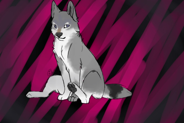 Sombra4sombra