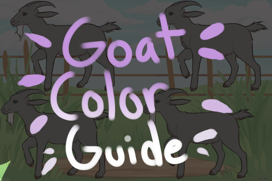 Goat Color Guide