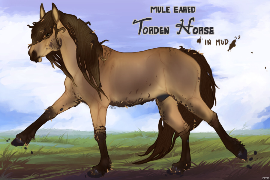 Mule-Eared Tordens: In Mud