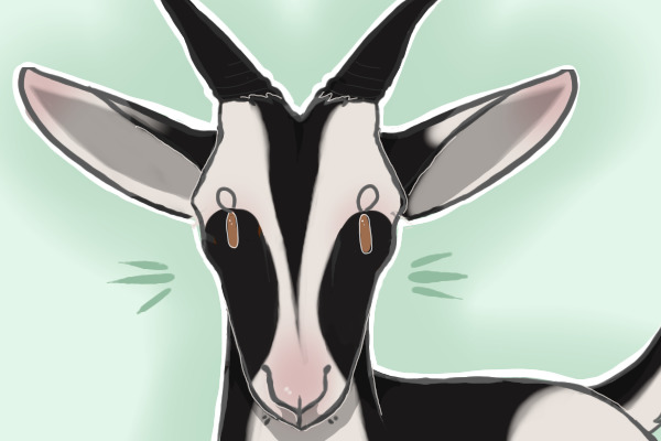Goatie goat