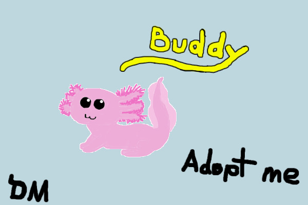 Adoptable Axolotl