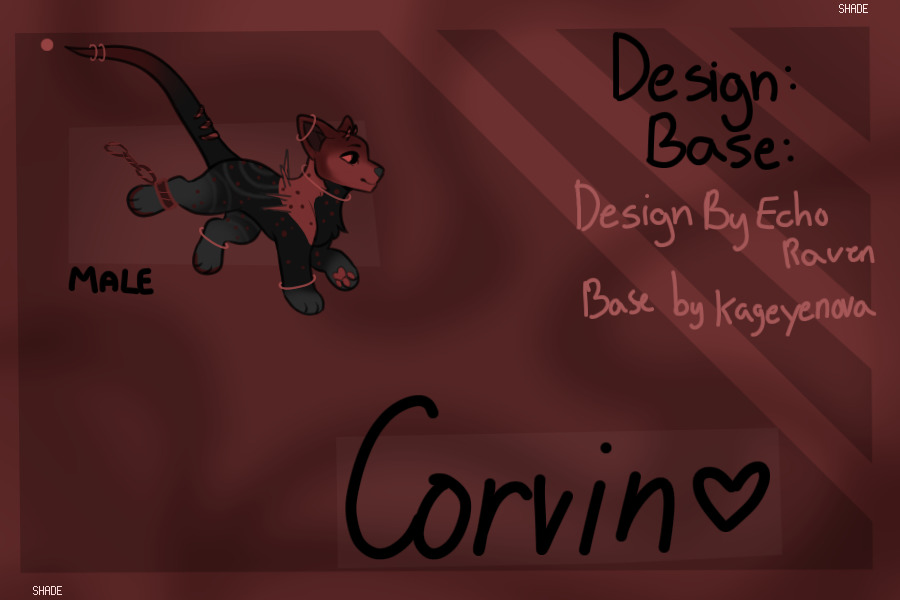 Corvin (again)