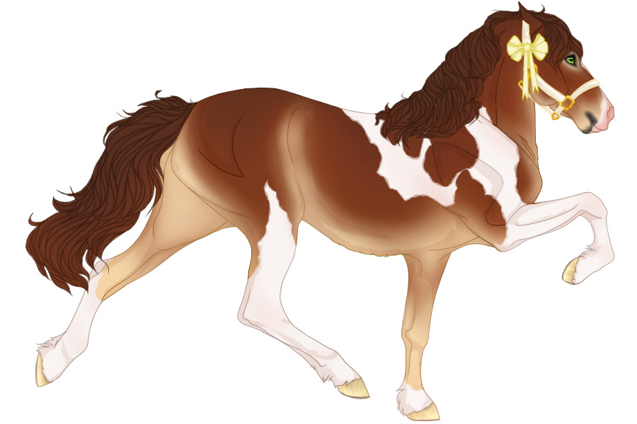 BRITA #0182 chestnut pangare with tobiano