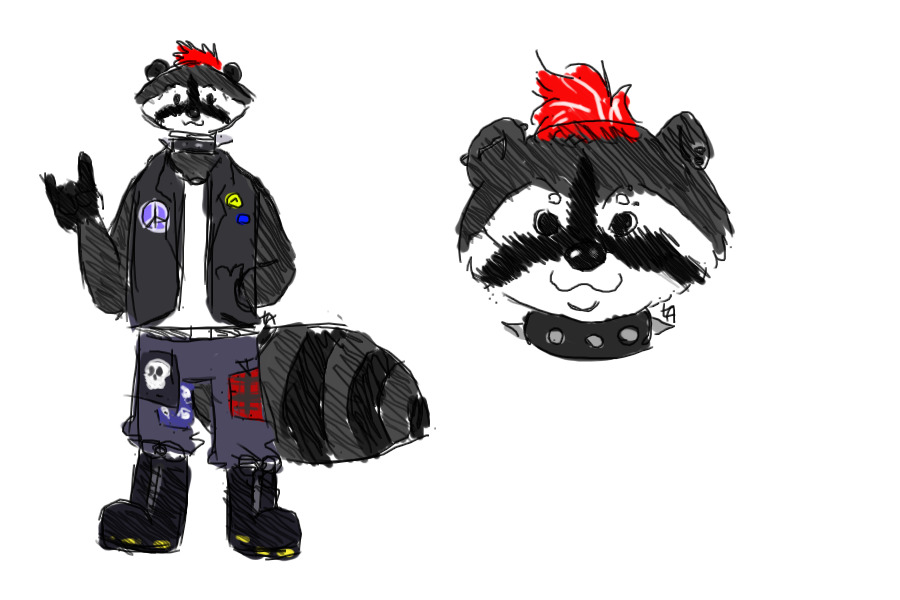 Punk Raccoon!