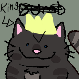 THE KING CAT