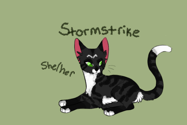 Stormstrike {Warrior cats OC}