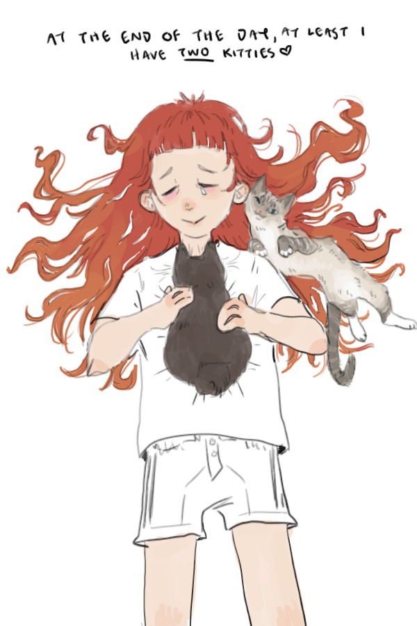 kitties yippee yippee