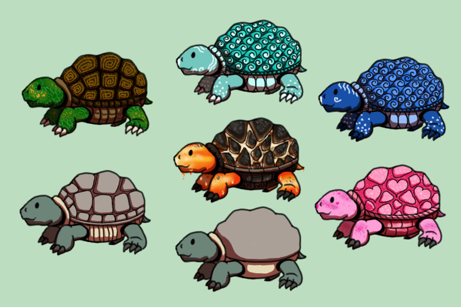 Little Turtles