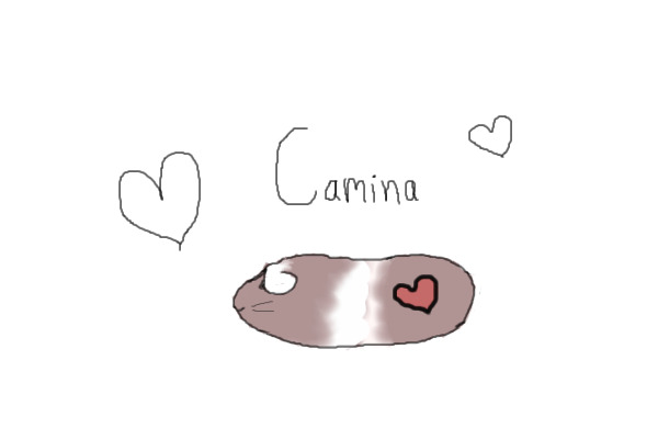 Camina