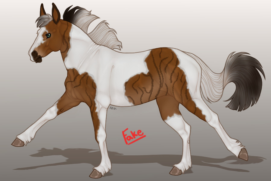 Artist Entry #4 - Wild Bay Pangere Tobiano w/ brindle