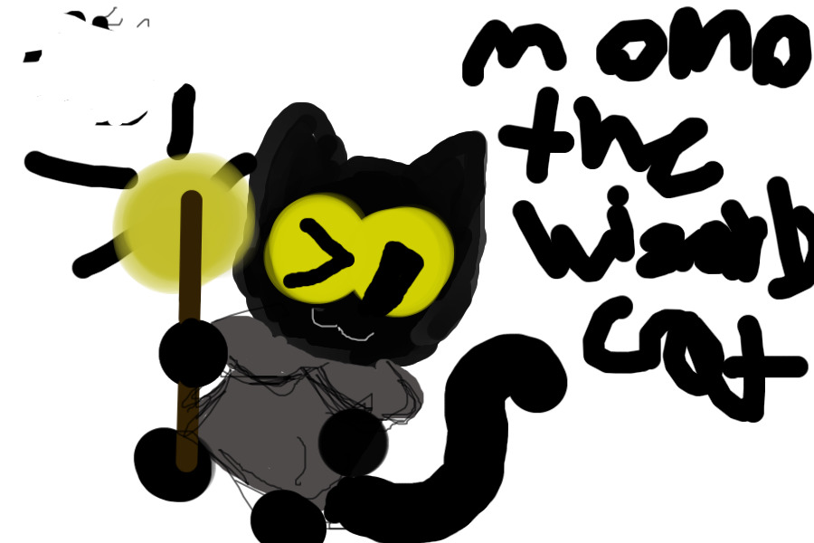 momo the wizard cat