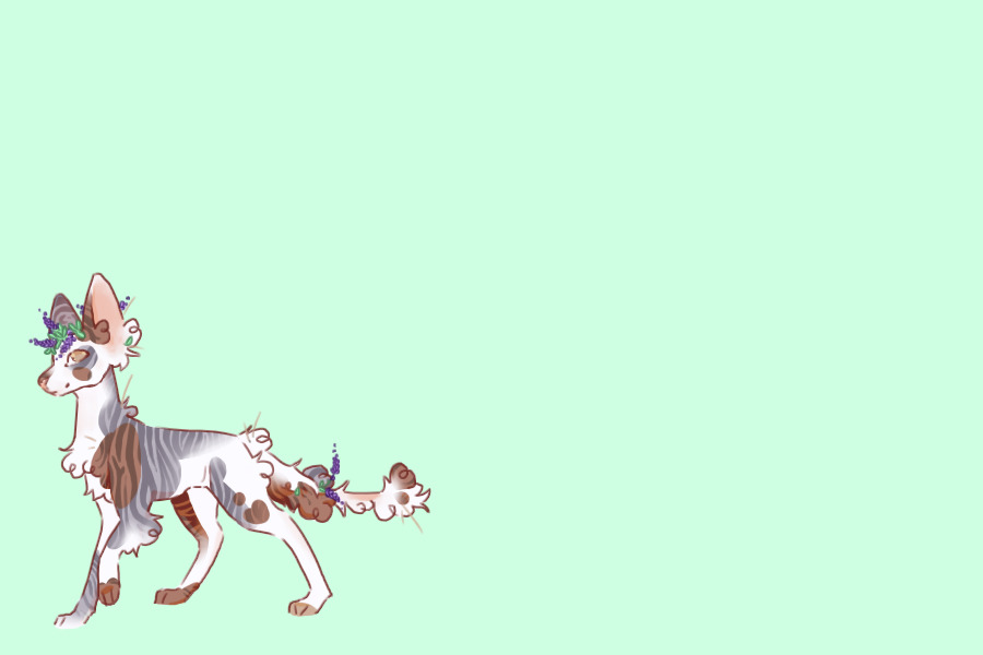 choco lavender swirl