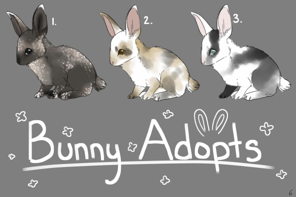 Bunny Adopts