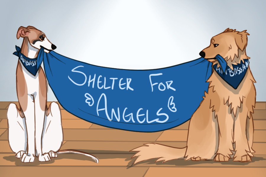 | Shelter For Angels - Shelter Pet Design ARPG |
