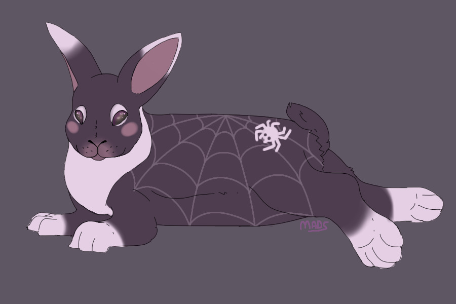 Cobweb Bunny