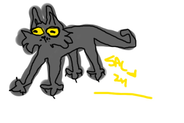 unhinged cat doodle
