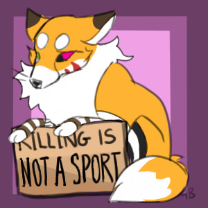 Killing is not a Sport pfp