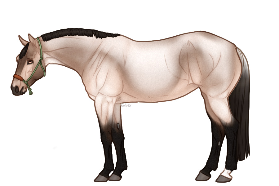 Palisade Roping Horse #145