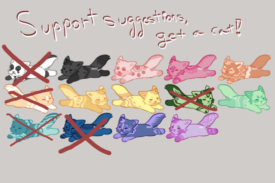 support suggestions, get one cat!