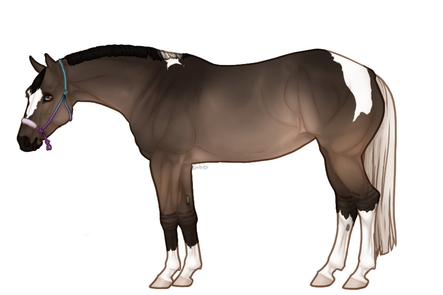 Palisade Roping Horse #147