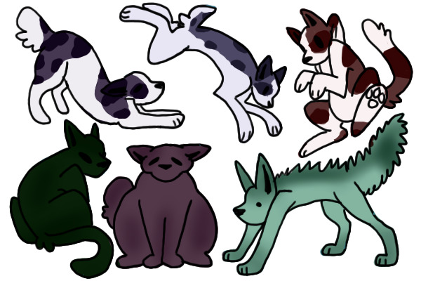 Dog or cat adopts