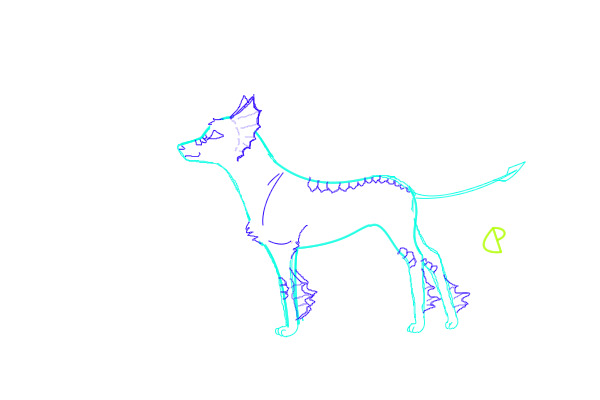 Aqua Dog