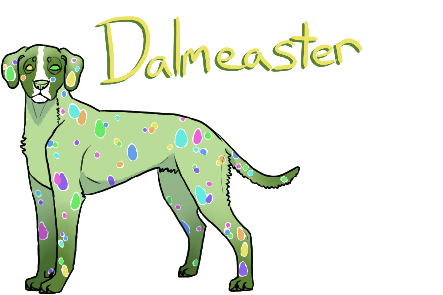 Holidog Breeder - Dalmeaster