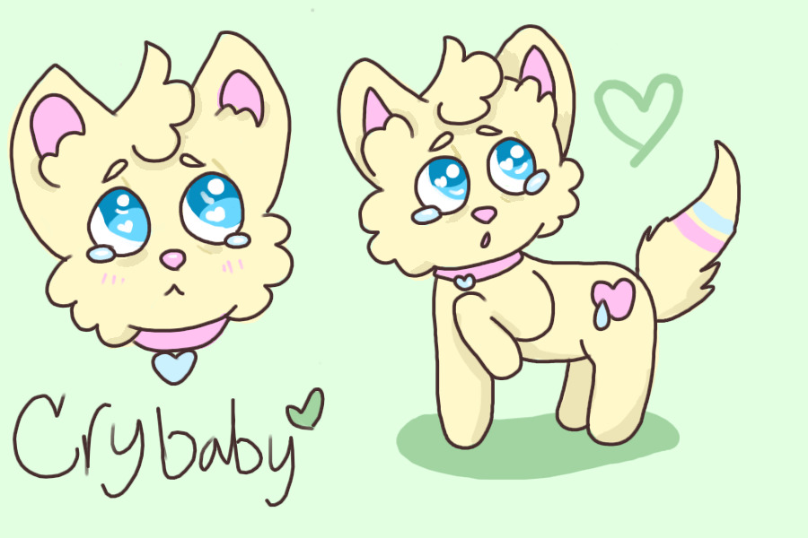 adoptable: crybaby