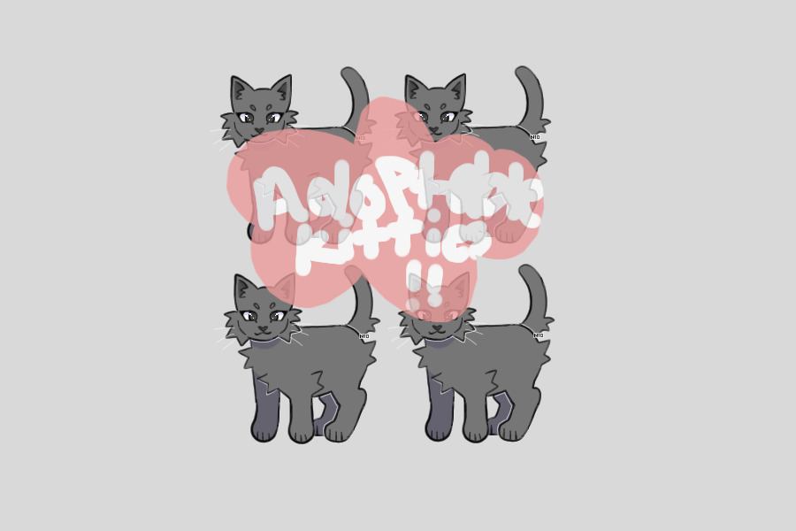 Adoptable Kitties!