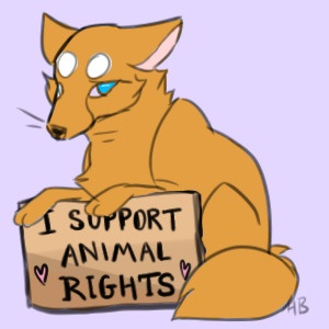i support animal rights pfp