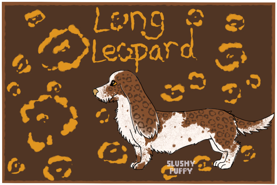 Dog Breeder - Long Leopard