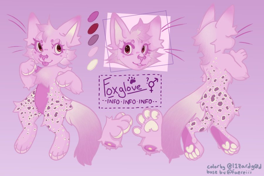 Foxglove: Offer made!