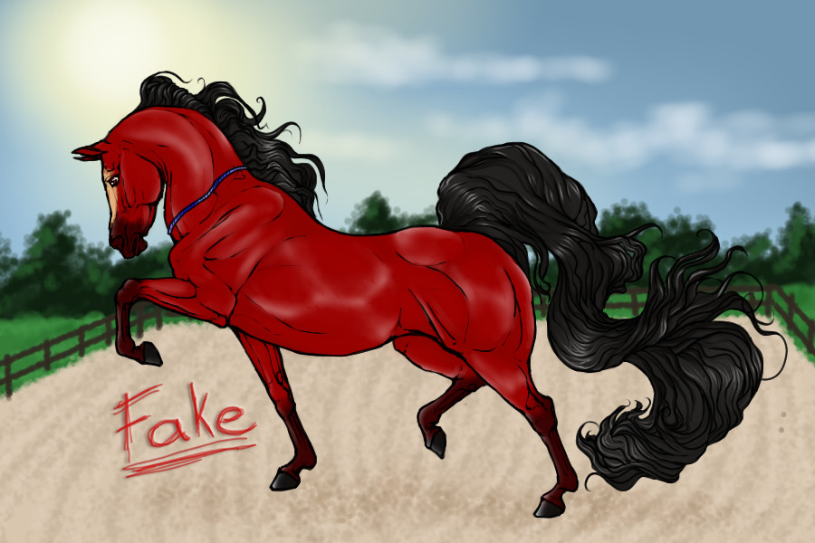 National Show Horse Associations Artiat & Staff Search