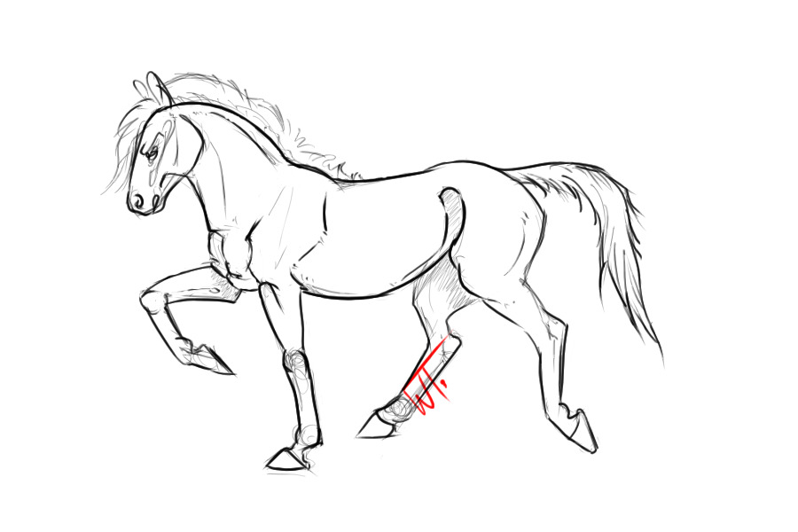 Horse Sketch WIP