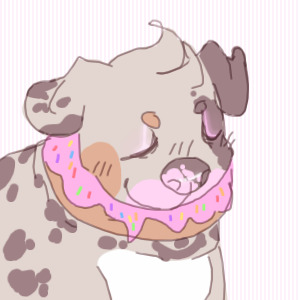 donut buppy