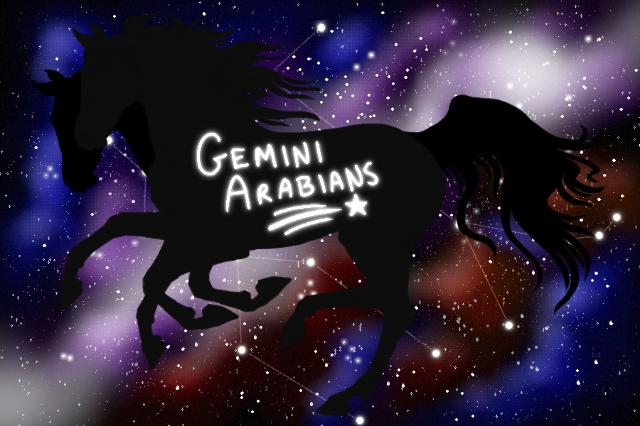 ⋆｡°✩ Gemini Arabians ⋆⭒˚｡⋆