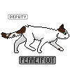 ferret foot