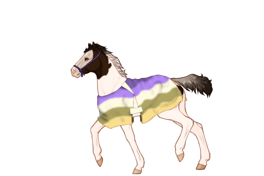 Foal Ref
