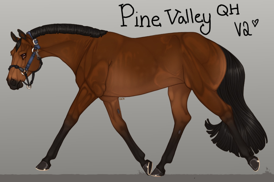Pine Valley QH V2 - Open to marking!