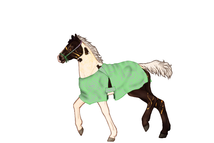 foal ref
