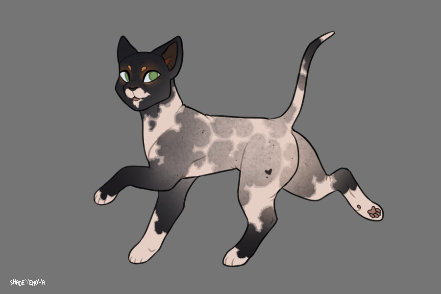 idk cat colors but this is cute?