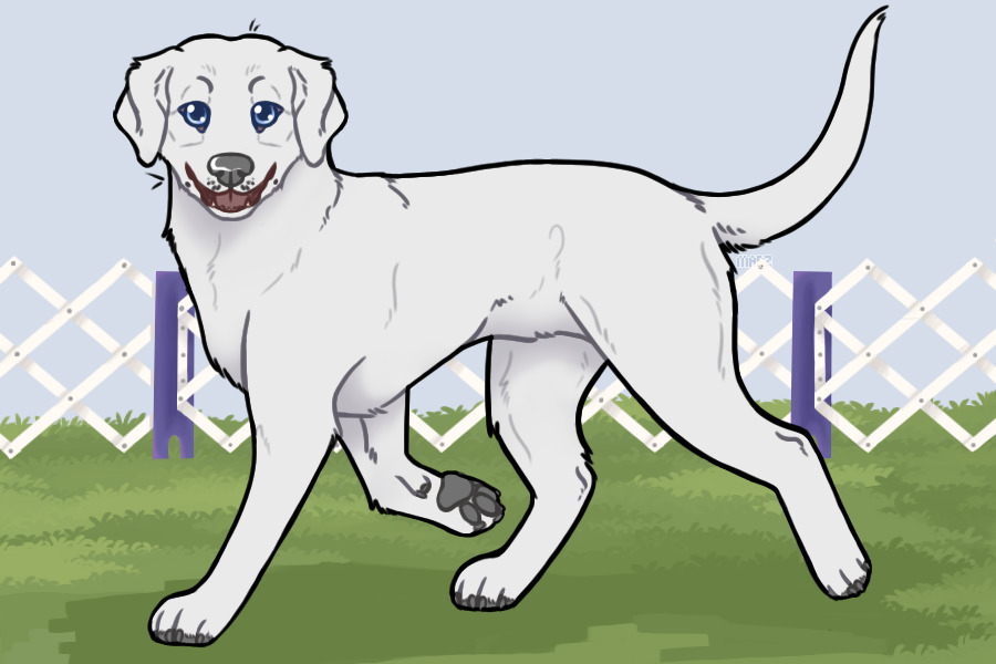 🔅 retriever lines