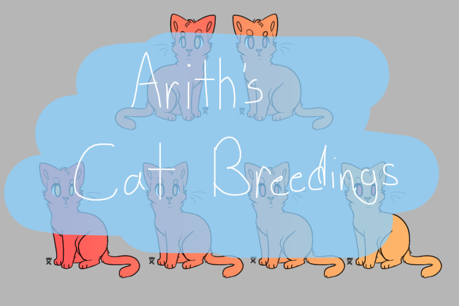 Cat Breedings