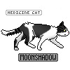 moonShadow