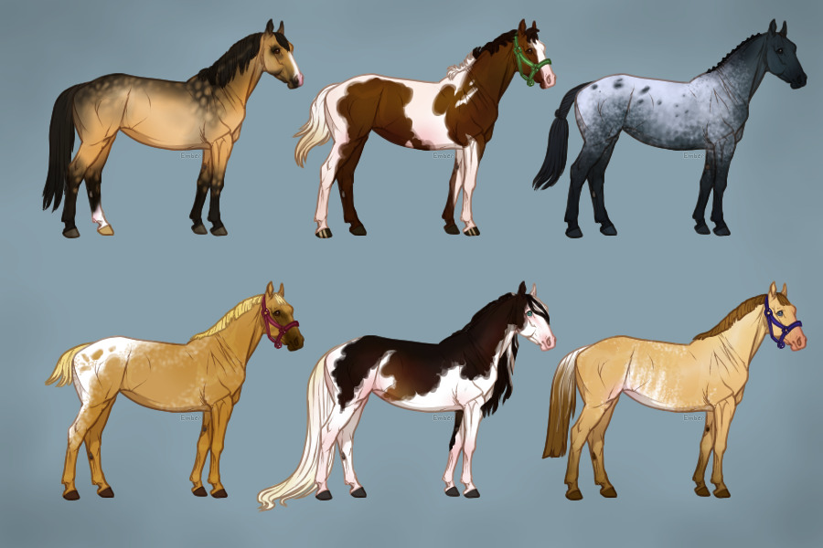 Horse Colors Revisit