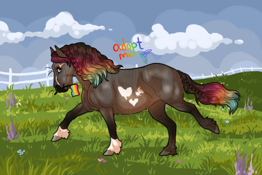 Pride Kelso Shetland Pony #002