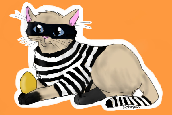 lol robber cat